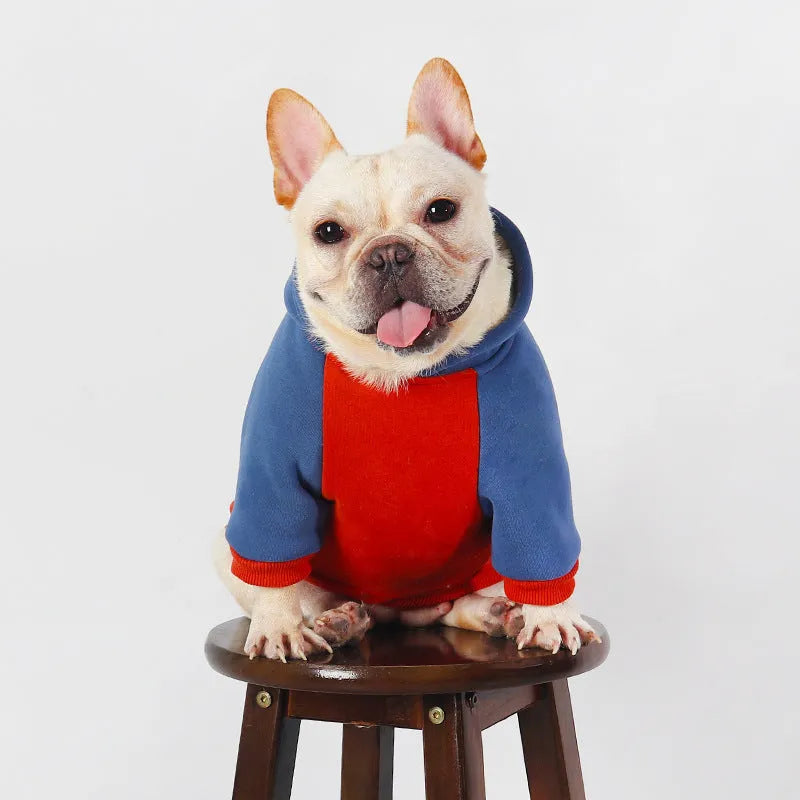 Red cotton dog coat for small to medium-sized breeds like Teddy or Corgi on a white background.