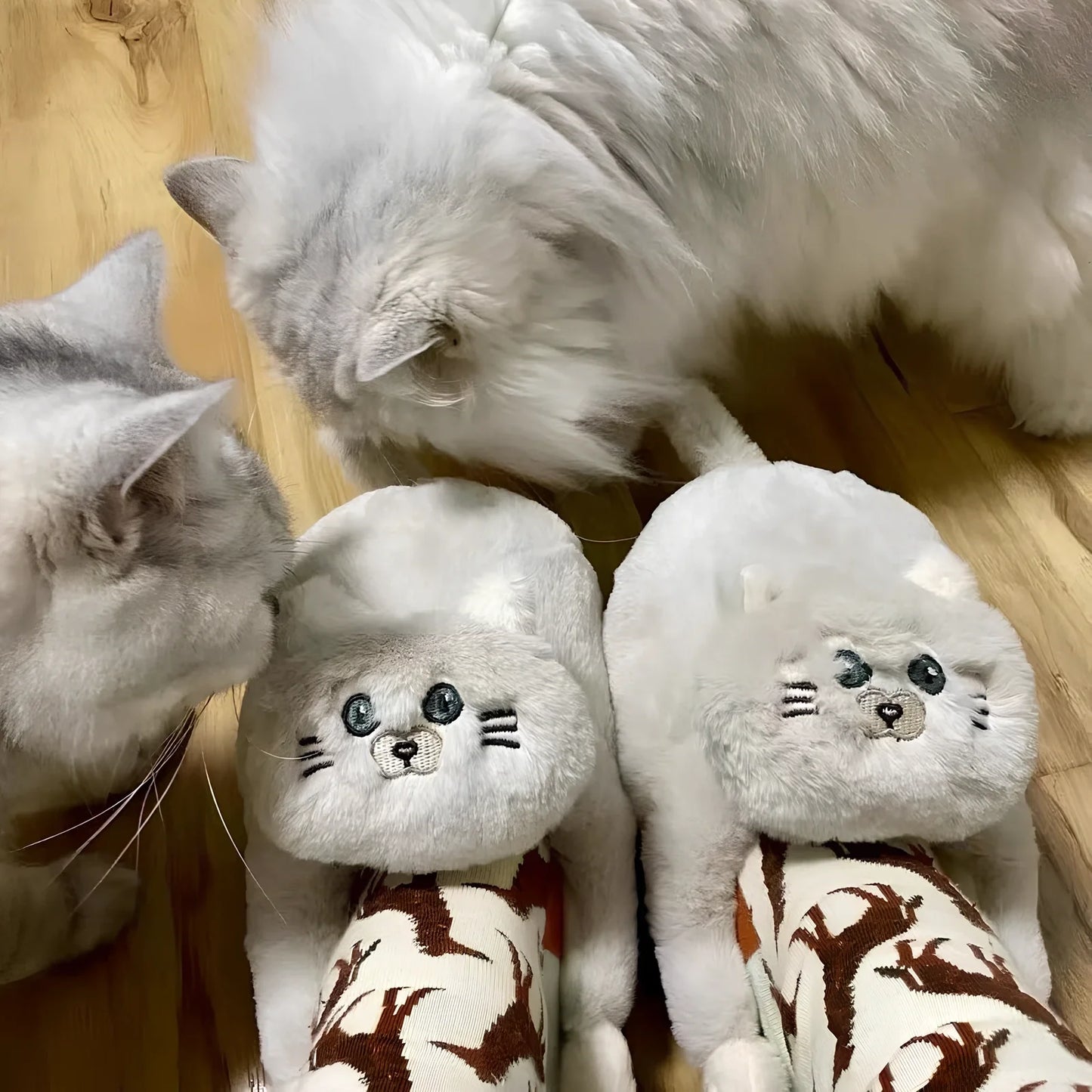 Blue cat pattern cotton slippers with 1.5cm heel and non-slip soles for UK sizes 35-43