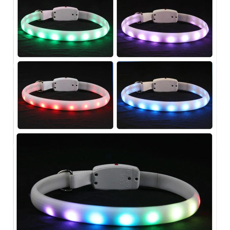 Bright LED pet collar with adjustable design for safe nighttime dog walking