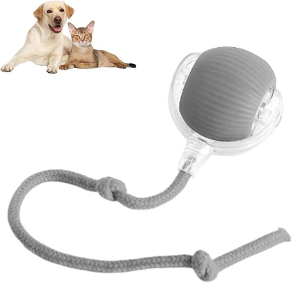 Smart automatic 360 rolling pet ball toy with rope attachment in grey, green, and red colours
