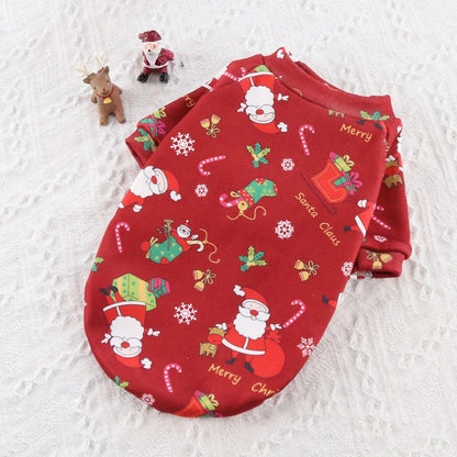 Stylish pet clothing collection featuring a range of cozy and fashionable outfits for dogs and cats