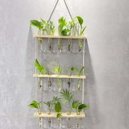 Creative Hydroponics Wall Hanging Vase with 15 test tubes in a wooden frame