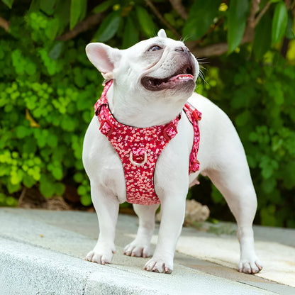 Floral pattern pure cotton pet chest harness strap in red, blue, or green with adjustable sizing