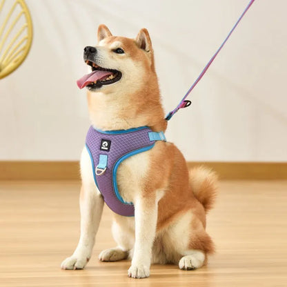 Adjustable breathable mesh dog harness with reflective piping in black, red, gray, or light purple