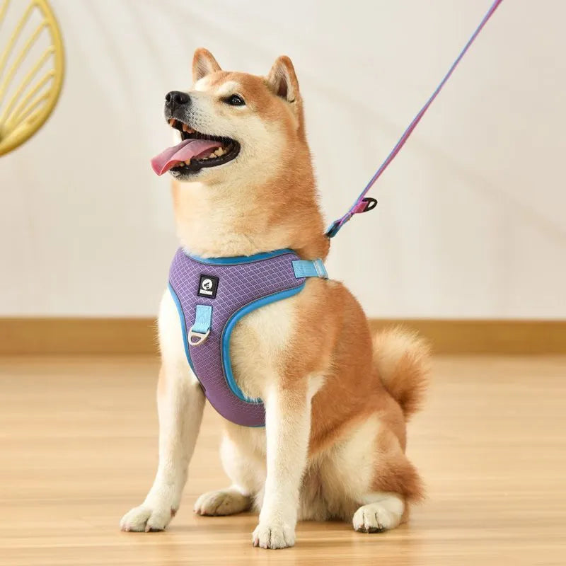 Dog harness with leash for small medium dogs and cats, adjustable breathable mesh saddle design in black red gray light purple, made from polyester with reflective piping for evening visibility