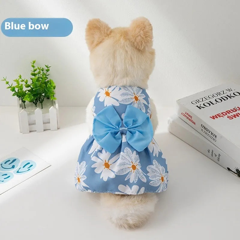 An orange floral butterfly knot princess dress for a small dog on a summer day.