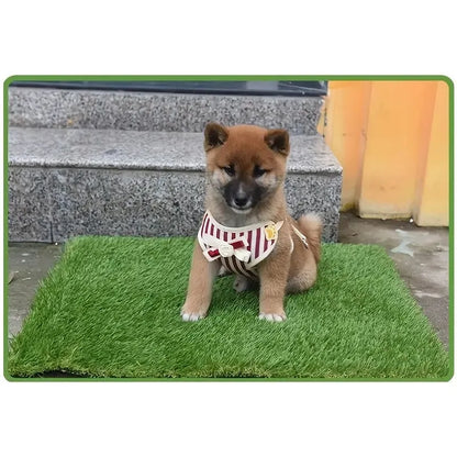 Artificial grass dog toilet training mat with drainage base tray