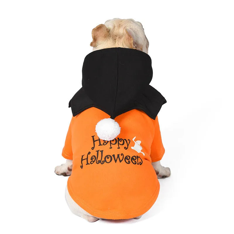 Black and orange Halloween dog costume with sweater and shawl pieces
