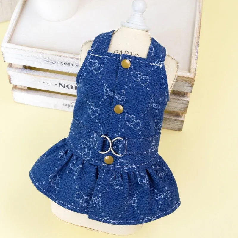 Teddy Bichon wearing denim princess dress in spring setting
