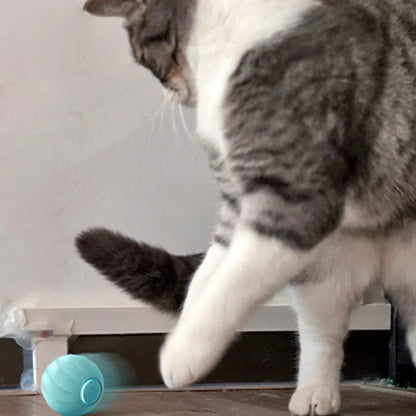 Interactive silicone cat ball with USB charger for indoor feline play and exercise