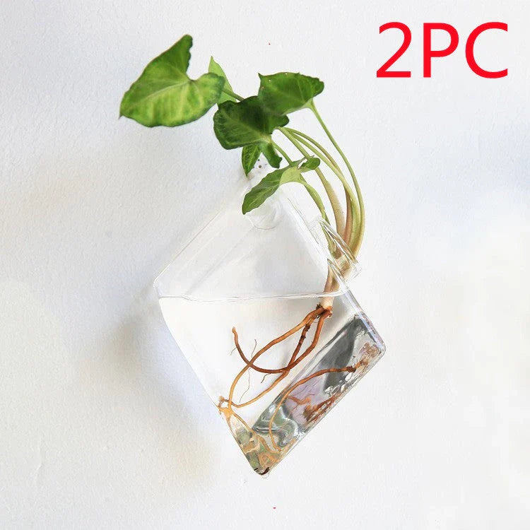 Wall-mounted glass flower vase and terrarium with various design options for customization and decoration