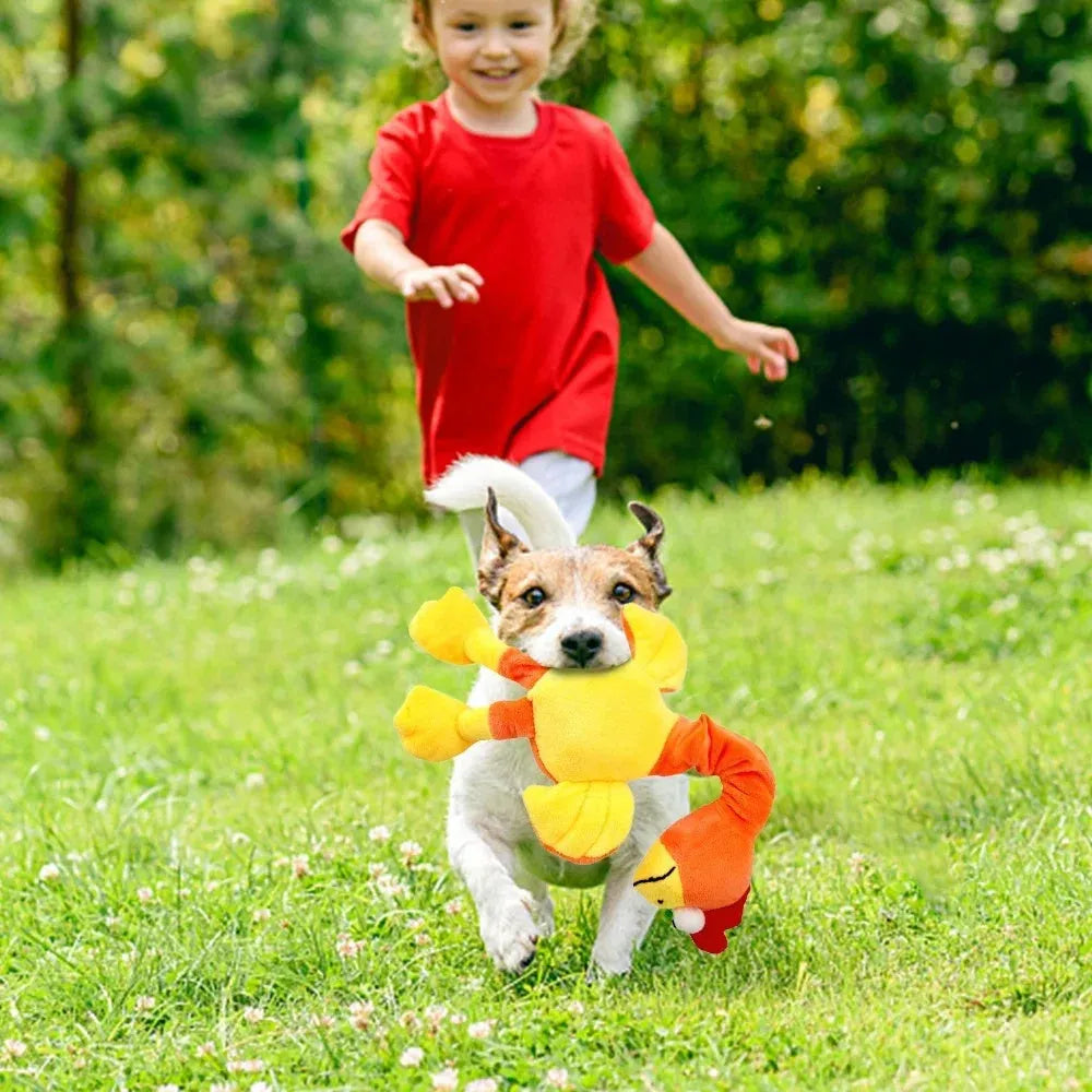Screaming chicken sound dog chew toy in black, green and orange colours