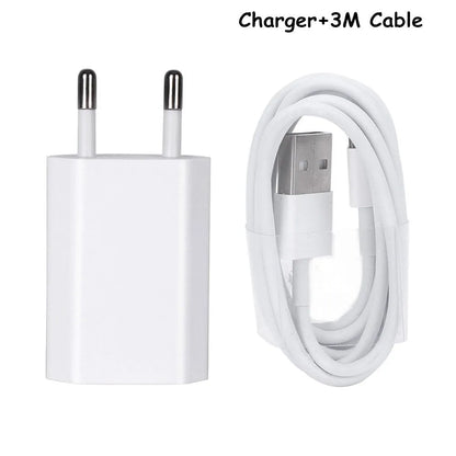 White 5V 2A USB wall charger and white Lightning cable for iPhone and iPad on a grey background