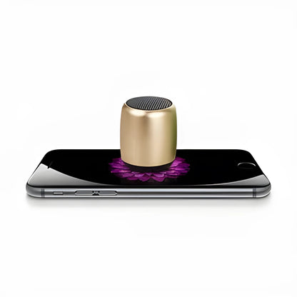 Small portable Bluetooth speaker in black, blue, gold, and pink colour options