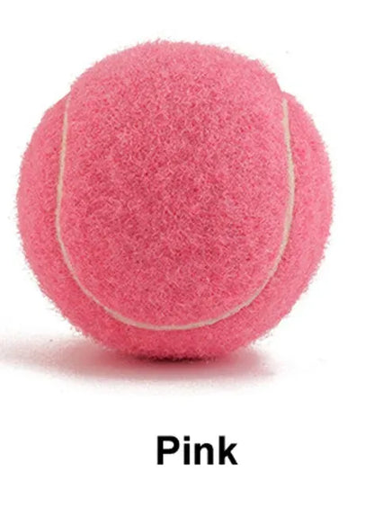 Rubber bite-resistant dog tennis ball in assorted bright colours, 6.3cm diameter.