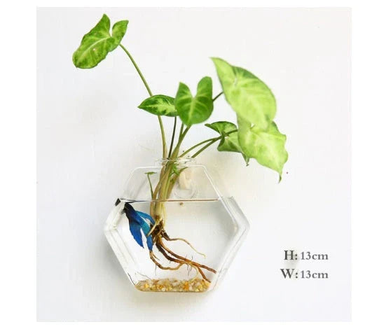 Wall-mounted glass flower vase and terrarium with various design options for customization and decoration