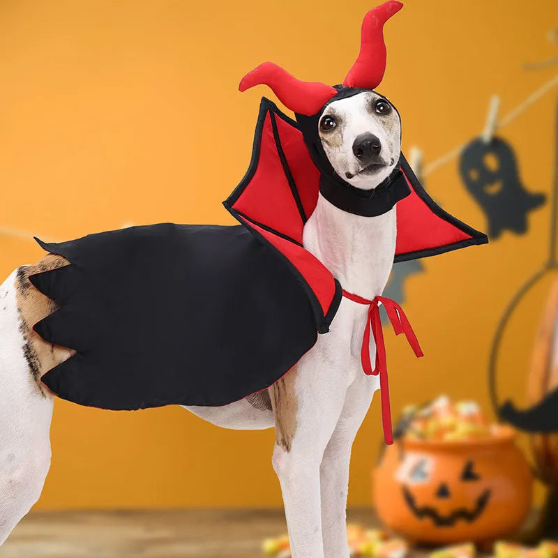 Black polyester vampire cloak and hat Halloween costume for a dog or cat