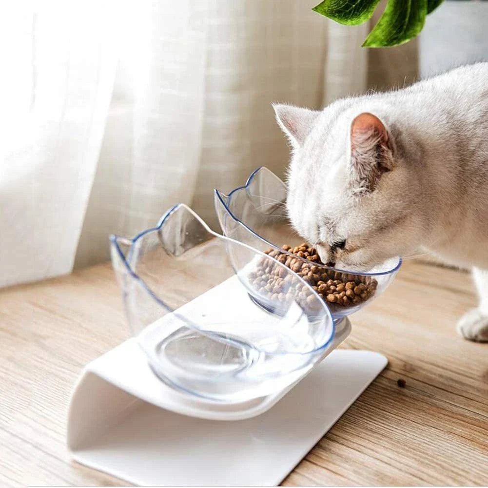 Tilted cat and dog bowls with raised stand, designed to reduce neck strain and protect cervical vertebrae.