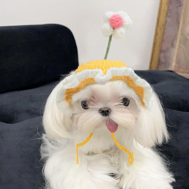 Cat hat and dog hat for kittens and small dogs made from soft knitted fabric in S and M sizes for Halloween Christmas birthday party costumes and festive photo props with cute cartoon design available in green pink and yellow colours