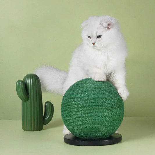 Cactus-shaped cat scratching ball with sisal rope for nail health