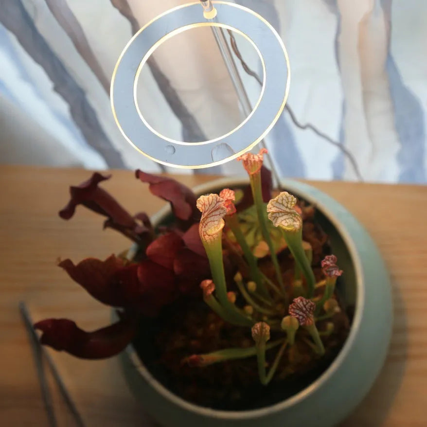 USB LED plant grow light with acrylic stick in multiple head configurations