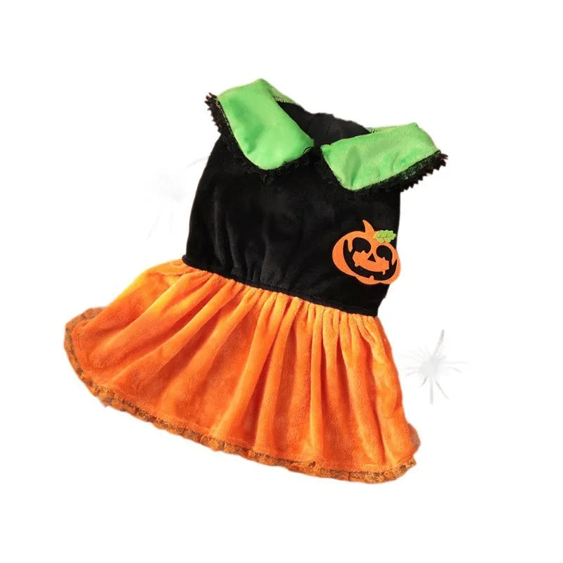 Orange Halloween pumpkin skirt costume and matching sweater for a small dog on a mannequin.