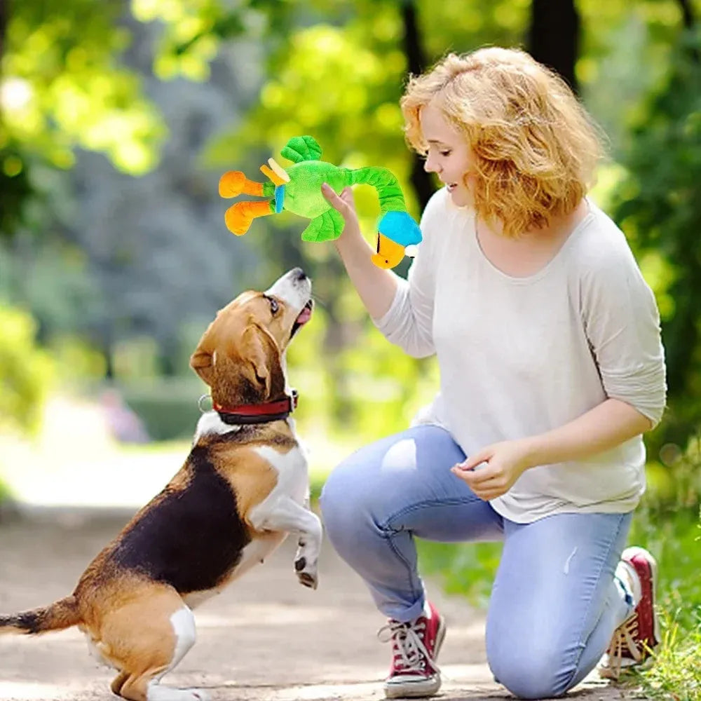 Screaming chicken sound dog chew toy in black, green and orange colours