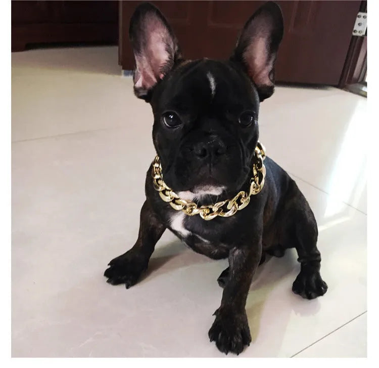 Gold colour twisted chain dog collar with an adjustable buckle for small to medium-sized dogs.