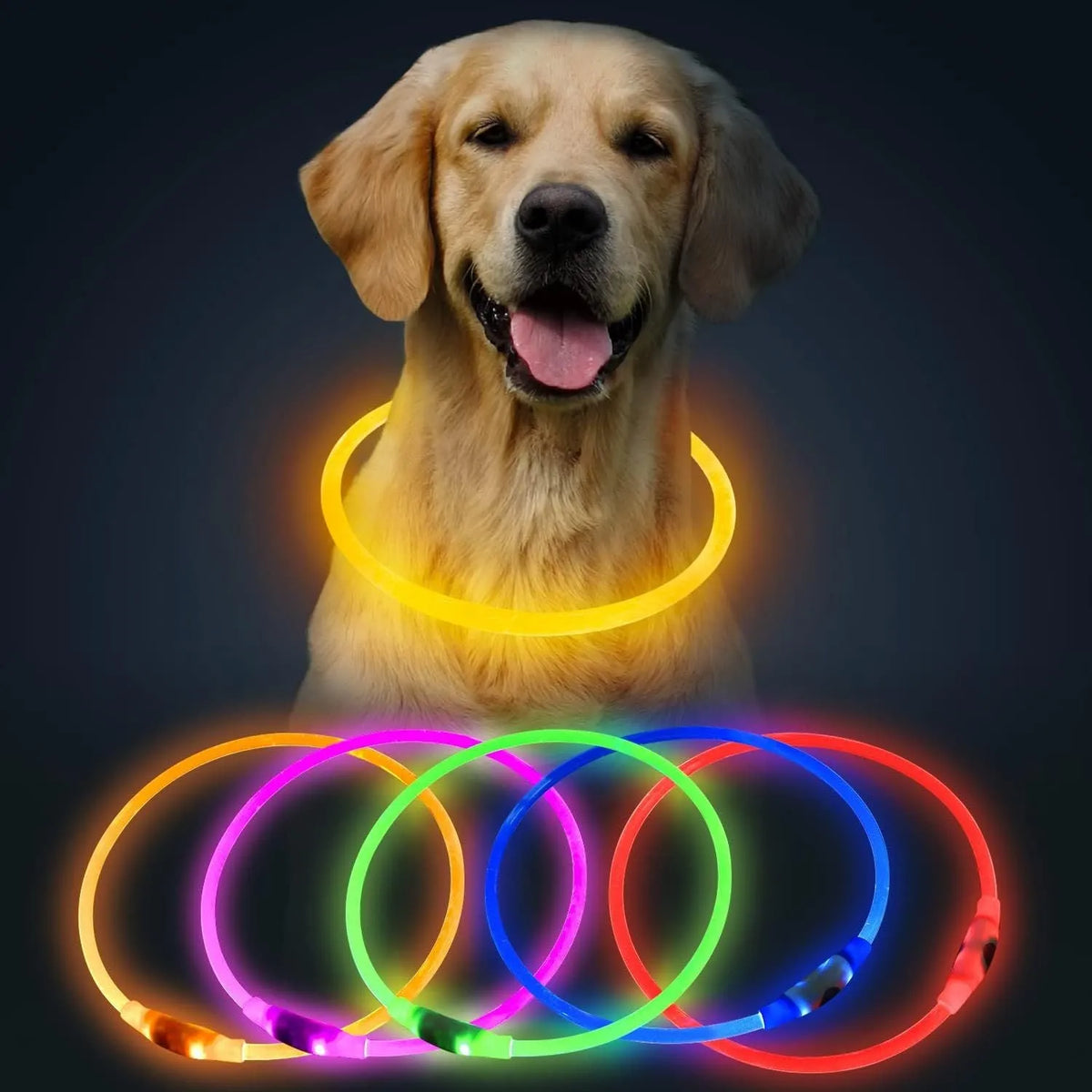 Blue USB rechargeable LED dog collar with glow lights, adjustable 70cm length for pet safety.