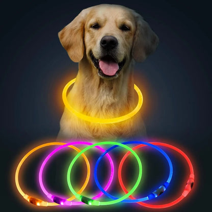 Blue USB rechargeable LED dog collar with glow lights, adjustable 70cm length for pet safety.