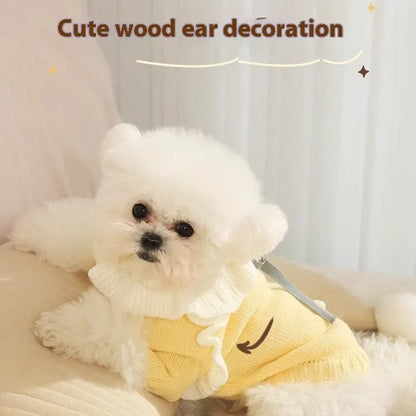 Yellow acrylic knit dog sweater on a small dog, showing casual style and fit.