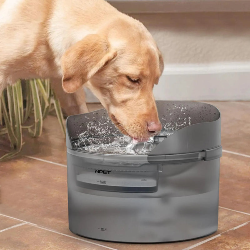 Pet water fountain for cats and dogs automatic circulation flowing water dispenser with filter and quiet pump in 5L and 8L capacity options for fresh drinking water