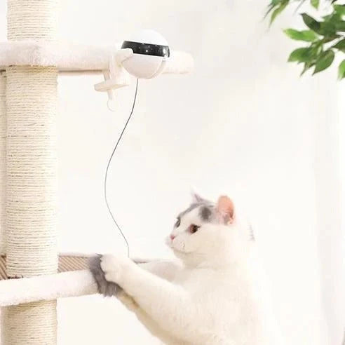Interactive electronic cat toy with motion for feline fun and exercise