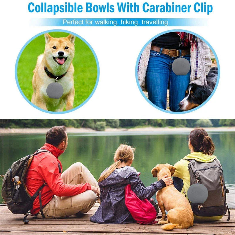 Spill-Proof Collapsible Pet Bowls for Dogs and Cats - Double-bowl Design with Non-Skid Silicone Mat