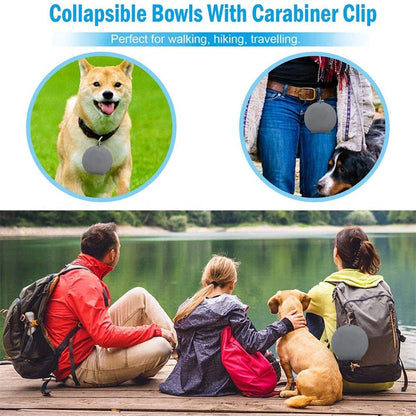 Spill-Proof Collapsible Pet Bowls for Dogs and Cats - Double-bowl Design with Non-Skid Silicone Mat