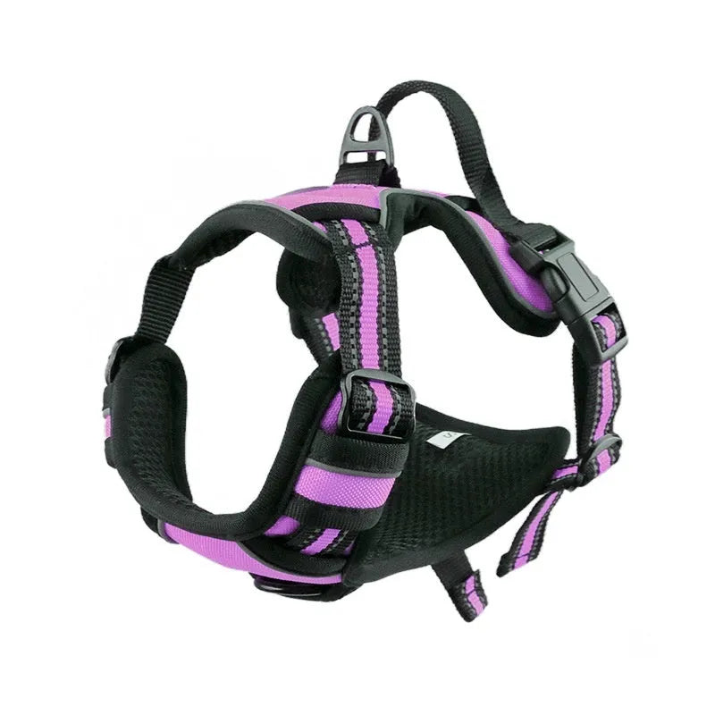 Adjustable Oxford cloth dog chest harness shown in multiple colours including red, blue, and green.