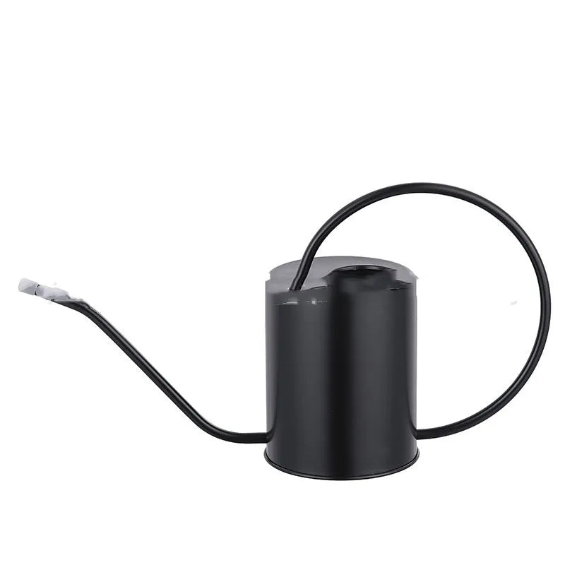 Stainless steel watering can with long spout, 2 litre capacity, shown in metallic finish.