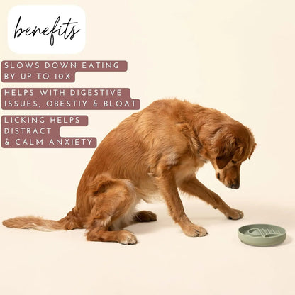 Silicone slow feeder bowl for dogs with lick mat design in beige, charcoal ash, grey blue, mango yellow, mustard green, or red