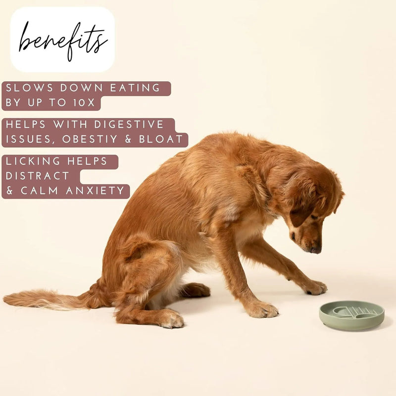 Silicone slow feeder bowl for dogs with a lick mat design that reduces gulping by up to 10 times, extends mealtime, and aids digestion for all breeds, measuring 19 cm in diameter and weighing 317 g.