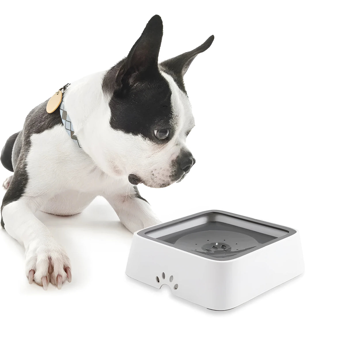 Grey ABS 2L pet water bowl with floating plate and slow water inlet, 244.5 x 221 x 86.5mm