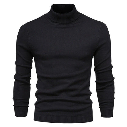 Men's slim fit turtleneck winter sweater in various colours