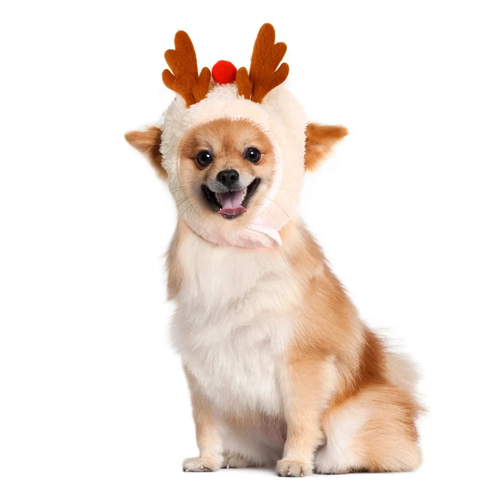 Christmas pet costume in velvet with antlers and bib options for winter warmth