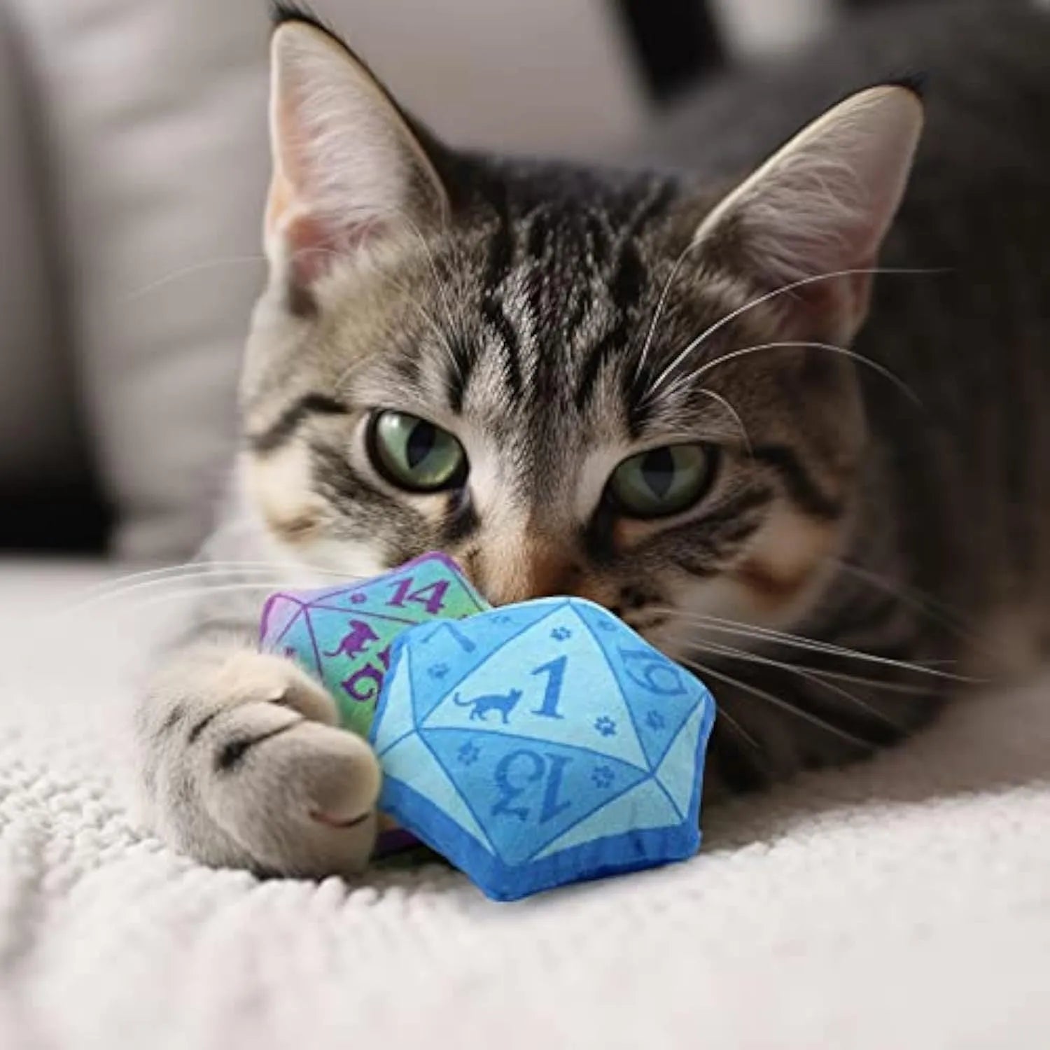 Plush dice-shaped cat toy with organic catnip filling in multiple colour options