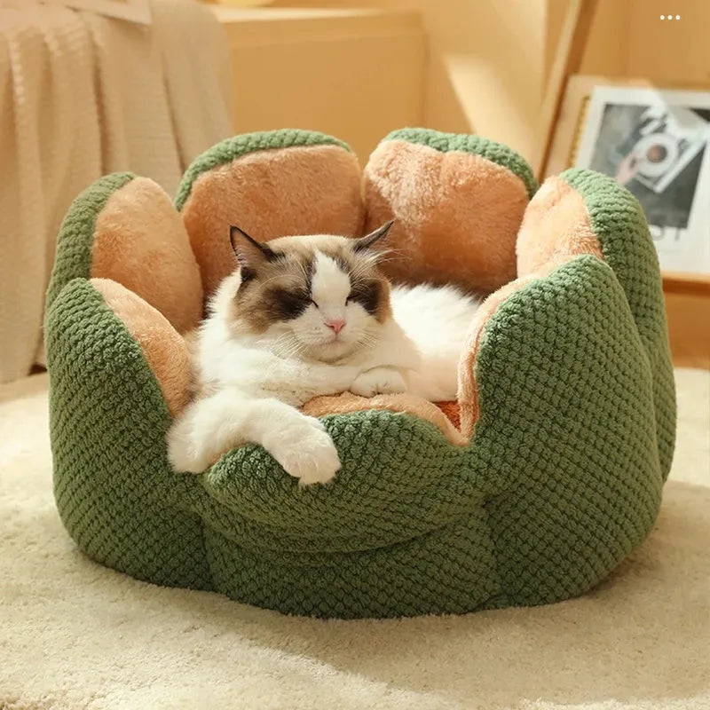 Green petal cactus-shaped plush cat bed with a cave-like opening on a wooden floor