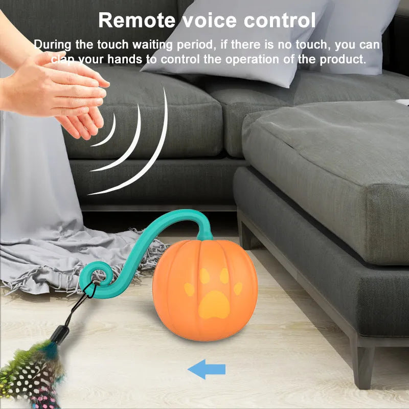 Electric cat teasing ball toy in watermelon or pumpkin colour design