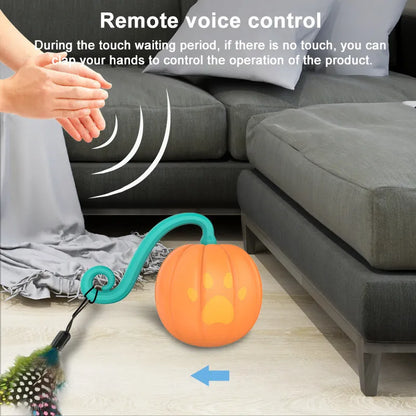 Electric cat teasing ball toy in watermelon or pumpkin colour design