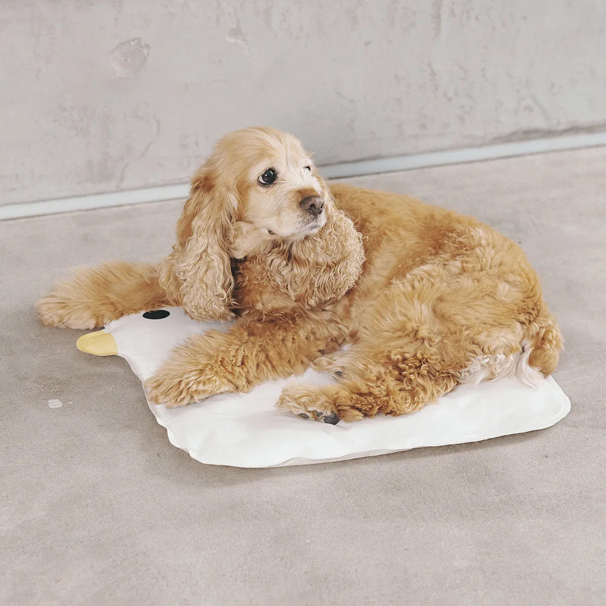 Washable chick-shaped pet cooling mat with non-stick surface for dogs and cats