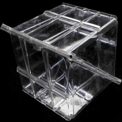 Transparent square plastic watermelon growth mould measuring 13cm for shaping fruits