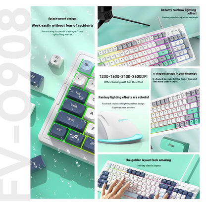Mechanical keyboard and wireless mouse set in a chosen colour like beige gray or sky blue on a desk.