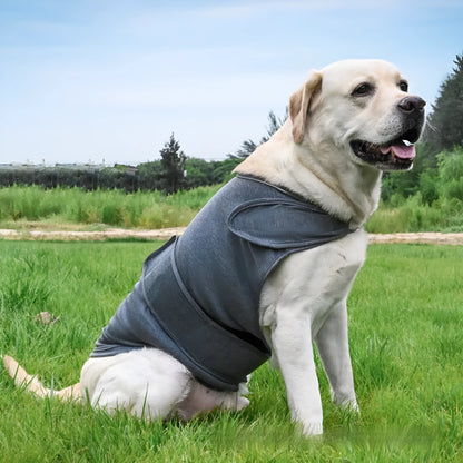 Dog wearing brown anxiety compression vest tank top for separation anxiety relief